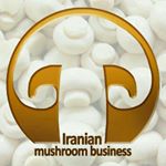 Iranian Mushroom Business