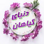 دنیای گیاهان